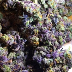 Granddaddy Purple